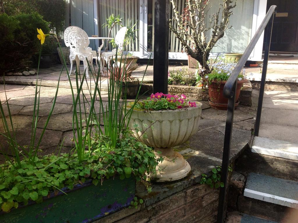 Braeside Guesthouse Exeter Exterior photo